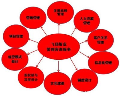 管理咨詢服務哪家強？專業信息咨詢機構的選擇與考量